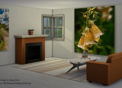 Paintings: Wayland William Whitney at Keyla Sims