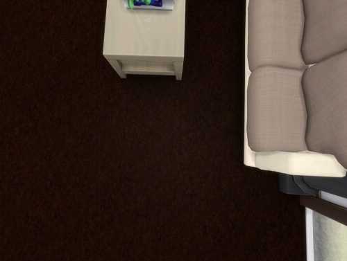 Palatial Plush Saxony Carpeting by Wykkyd