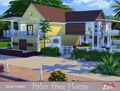 Palm Tree House