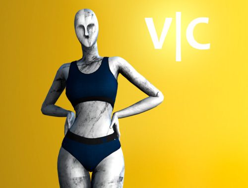 Panties and Bra  -  V|C