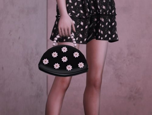 PEARL SET: BAG & NECKLACE at Bedisfull – iridescent