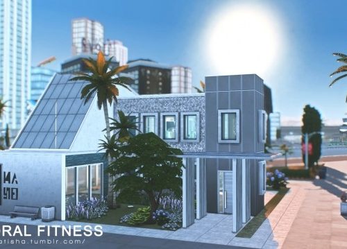 Pectoral Fitness Gym at Helga Tisha