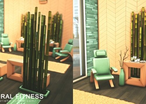 Pectoral Fitness Gym at Helga Tisha