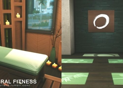 Pectoral Fitness Gym at Helga Tisha