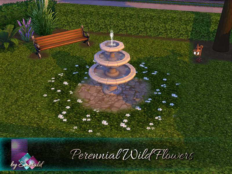 Perennial Wild Flowers - Image 3