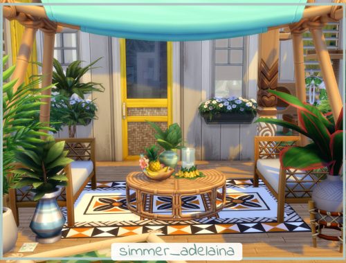 Pet's Exotic Vet