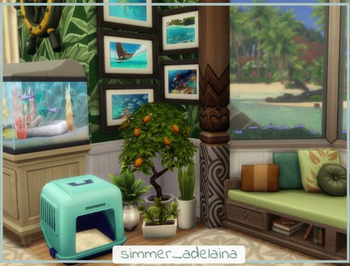 Pet's Exotic Vet