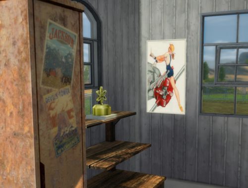 Pin Up Posters