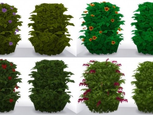 Plain Interactive Bushes by Ellawese