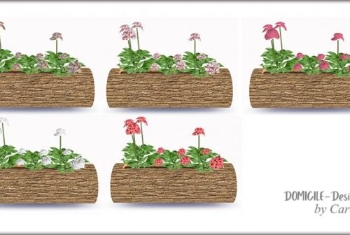 Planters at DOMICILE Design TS4