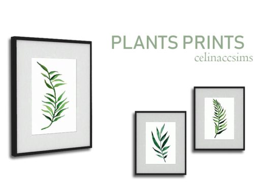 Plants Prints..