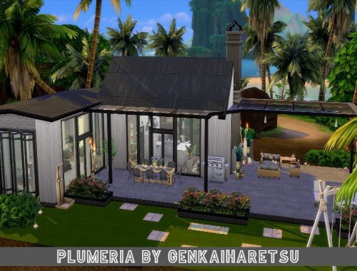 Plumeria |No CC