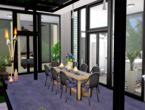 Plumeria |No CC