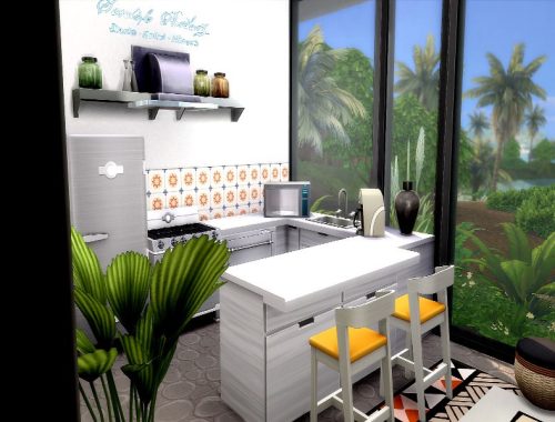 Plumeria |No CC