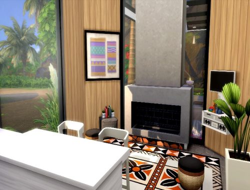 Plumeria |No CC