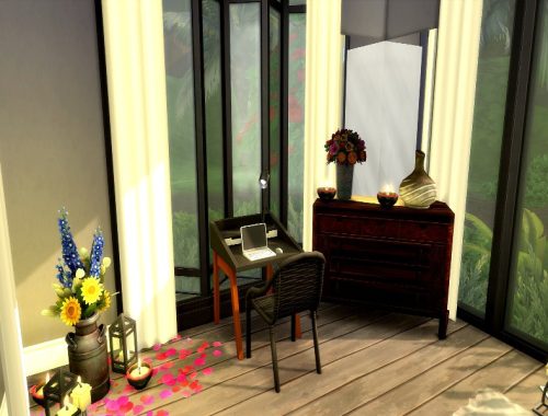 Plumeria |No CC