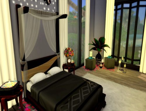 Plumeria |No CC