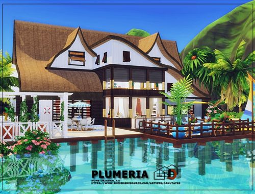 Plumeria