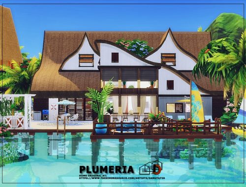 Plumeria