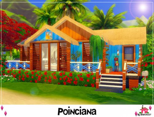 Poinciana - Nocc