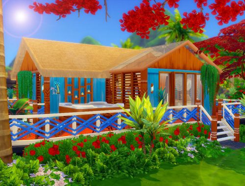 Poinciana - Nocc