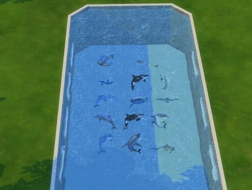Pool decoration by hippy70