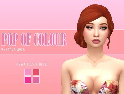 Pop of Colour Blush