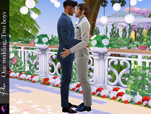 Pose- One wedding, Two boys