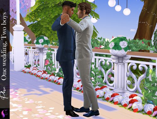 Pose- One wedding, Two boys