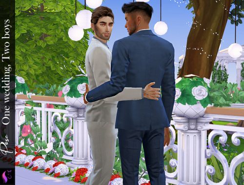 Pose- One wedding, Two boys