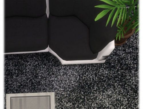 Posh Lux Carpet Neutral Tones by Wykkyd