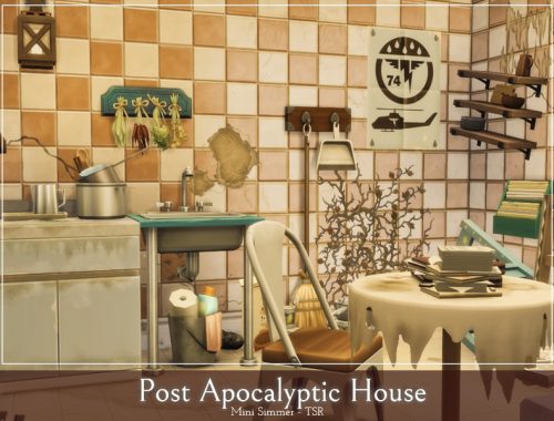 Post Apocalyptic House