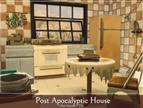 Post Apocalyptic House