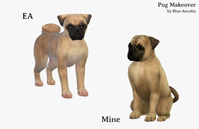 Pug Makeover At Blue Ancolia The Sims 4 Catalog