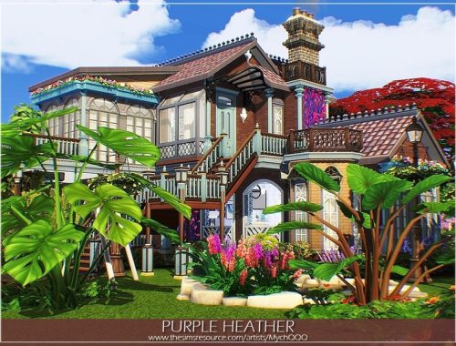 Purple Heather