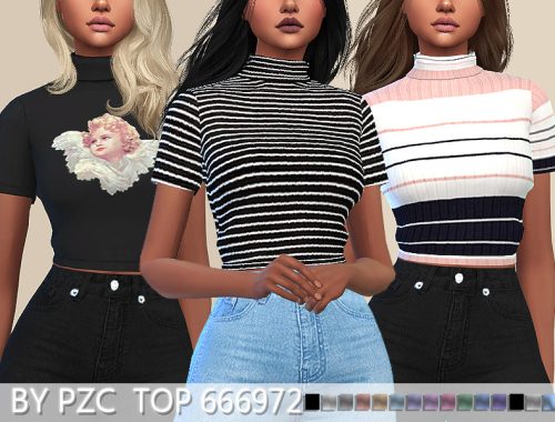 PZC-Top 666972(mesh required)