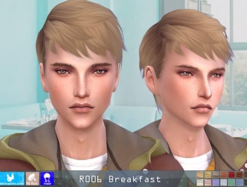 R006 Breakfast hair M (P) at Newsea Sims 4