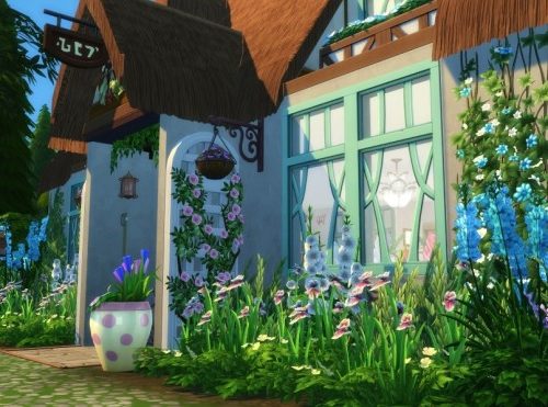 Raine’s Mystical Market at Jenba Sims