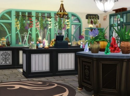 Raine’s Mystical Market at Jenba Sims