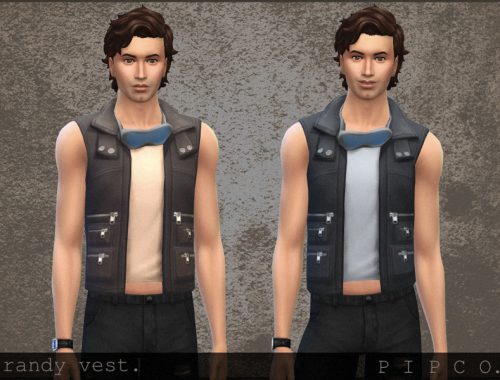 randy vest.