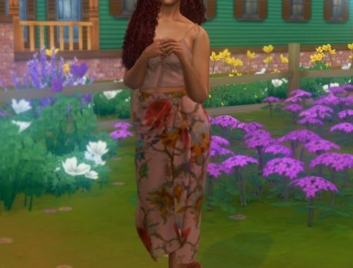 Rayne at Katverse