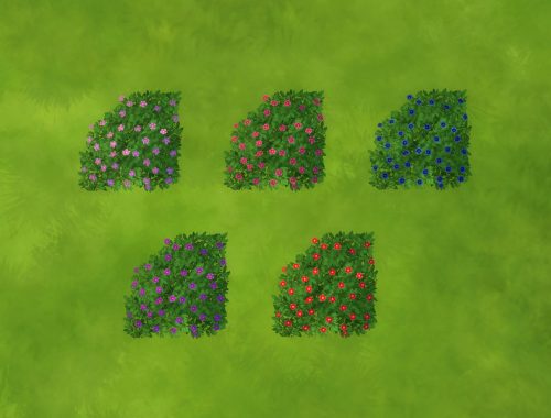 Recolors Perennial Hydrangea