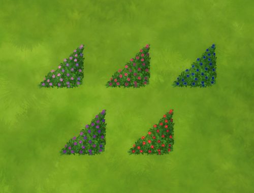 Recolors Perennial Hydrangea