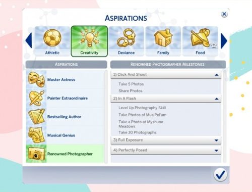 Renowned Photographer Aspiration by xbrettface at Mod The Sims