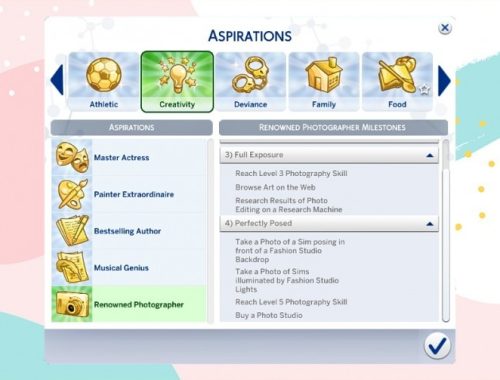 Renowned Photographer Aspiration by xbrettface at Mod The Sims
