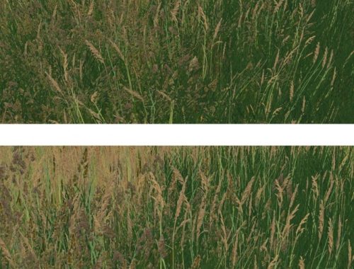 Retextures Grass of Windenburg at Alf-si