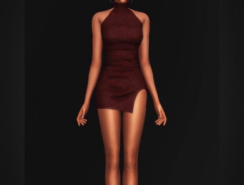 Ribbed Turtleneck Dress at Gorilla