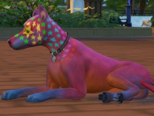 Rocco Superstar Mixed Breed Dog Basenji by PetWorld456 at Mod The Sims