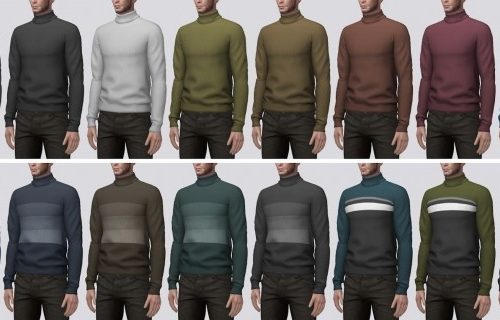 Roll Neck Sweater (P) at Darte77