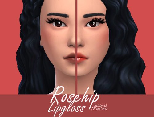 Rosehip Lipgloss